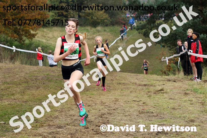 Girls under-13s, National Cross Country Relays, Berry Park, Mansfield. Photo: David T. Hewitson/Sports for All Pics